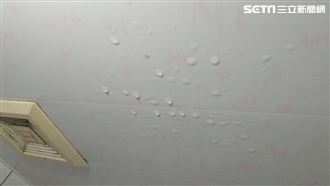 賣房點交發現漏水？蕭琪琳：千萬別修