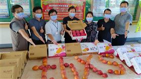 支持屏東芒果　慈惠醫專買50箱力挺果農