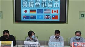 民進黨團今天召開「東方明珠變色，民主同盟聲援」線上記者會，與會者包括書記長羅致政、民進黨團幹事長劉世芳、民進黨團副幹事長黃世杰、民進黨立委洪申翰等人。 圖／翻攝自臉書