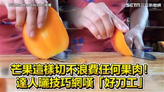 不浪費果肉切法！　她秀超狂刀工網跪