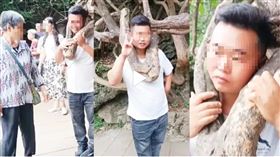 頭伸樹洞拍照！他YA完下秒「眼神死」大頭卡住慘被當景點（圖／翻攝自海客新聞秒拍）