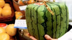 ▲日本四國方型西瓜開始運送。（圖／翻攝自香川縣推特）