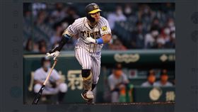 阪神虎佐藤輝明。（圖／翻攝自阪神虎推特）