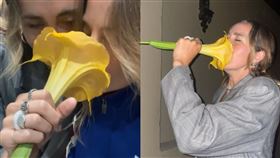 天使小號,黃花,鬼壓床,惡夢,頭暈,幻覺