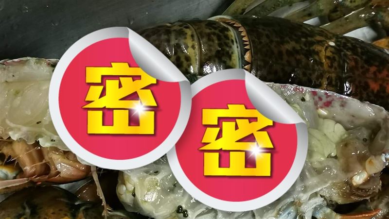 龍蝦切開見「一團綠色」行家讚：極品