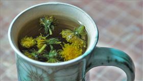 蒲公英茶（圖／翻攝自pixabay） 