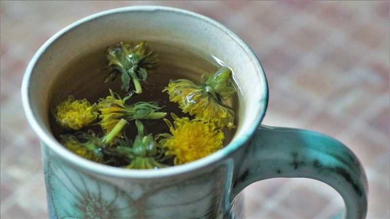 每天喝這杯　調節免疫力、遠離脂肪肝