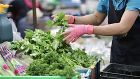 菜價漲（1）COVID-19疫情延燒，民眾出門採買次數降低，近日蔬菜也受到產地天氣影響，有些葉菜類漲幅不小。中央社記者張皓安攝  110年6月18日