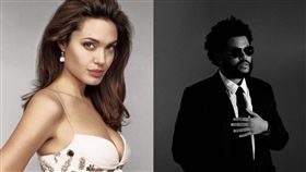 安潔莉娜裘莉，威肯。(圖／安潔莉娜裘莉，威肯推特)