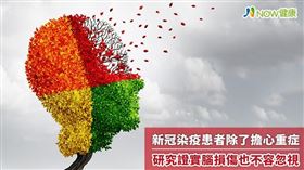 名家專用／NOW健康／越來越多國外研究證實，新冠病毒還可能損傷大腦組織，導致嚴重腦內發炎。(勿用)