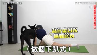 遭主人冷落　萌汪發飆怒報復