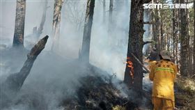 玉山森林大火／林務局嘉義林區管理處提供