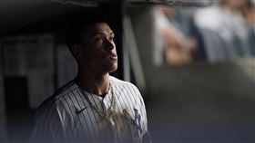 ▲紐約洋基Aaron Judge。（資料照／美聯社／達志影像）
