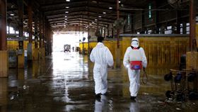 07033新北市長侯友宜至泰山視察新北家禽合作社（圖／新北市府提供）