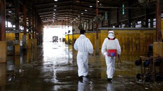 防堵疫情　新北要求進批發市場兩條件