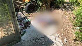 筍園,工地,打工,陳屍,（圖／翻攝畫面）