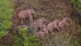 名家專用/ ELLE（勿用）
