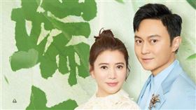 袁詠儀，張智霖。(圖／袁詠儀微博)