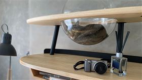 樹德科大師生設計「人貓共融書桌」獲獎肯定
有鑒於國內越來越多人飼養貓貓狗狗陪伴，高雄樹德科
大生活產品設計系師生共同合作，設計出「人貓共融書
桌」，極具商業需求及市場性，更在「2021金點新秀設
計獎」產品設計類獲「金點新秀贊助特別獎」肯定。
（樹德科大提供）
中央社記者洪學廣傳真  110年7月4日