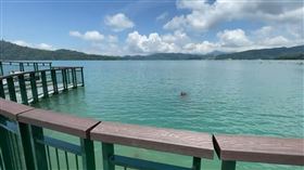 日月潭，九蛙疊像，倒影折射，隱藏版美景