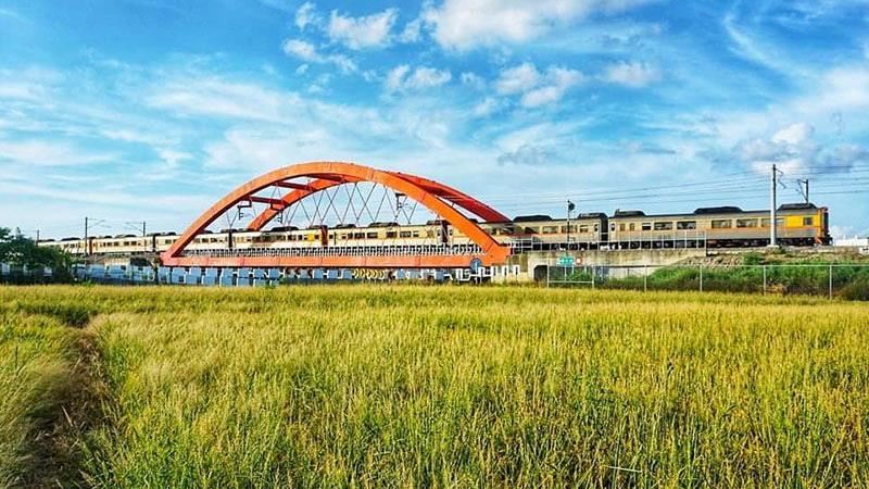 疫情期間來場「金黃稻浪」線上旅遊！
