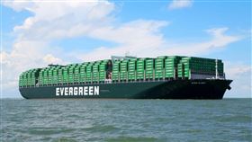 長榮 長榮海 長榮海運 （圖／長榮海運提供）