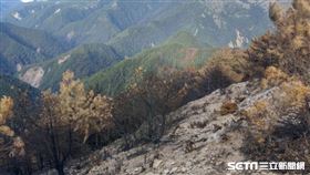 玉山森林大火／林務局嘉義林區管理處提供