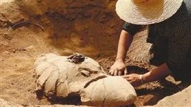 ▲貴州遵義考古隊。（圖／翻攝自遵義考古隊微信）