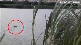 永和,機車,竊賊,新店溪