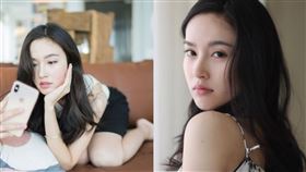 掃毒,poy,寶兒,第三性,古天樂,張家輝