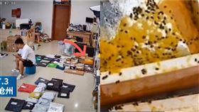 圖／翻攝自都市時報