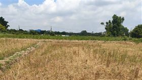 ▲由於上半年鬧水荒，石門水庫5月底的蓄水量僅剩7％，桃園因此祭出限水、停水措施。