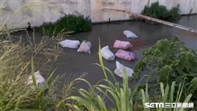 彰化月眉大排漂不明物／議員賴清美授權提供