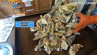 鐵鏟堆巨大牡蠣　男嗑肥美海味爽翻