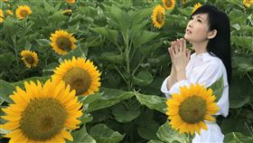 周慧敏的玉女形象深植人心。(圖／翻攝臉書）