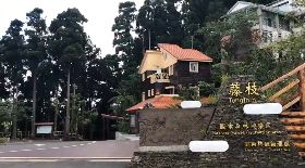 屏東林管處配合微解封  開放藤枝森林