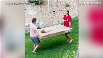 娃想幫2兄搬桌　反被抱上桌秒成公主