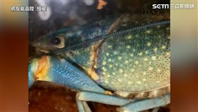 ▲（圖／網友戴嘉陞 授權）