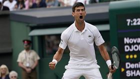 ▲喬科維奇（Novak Djokovic）直落3闖進溫網決賽。（圖／美聯社／達志影像）