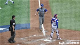 經典賽,WBC,中華隊以色列 圖／記者林敬旻攝