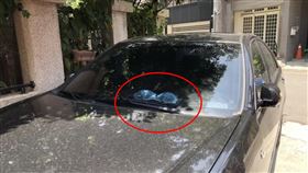 爸偷女生內衣？兒目睹「曬在車上」傻了　真相網笑爆：很色（圖／翻攝自Dcard）