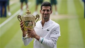 ▲喬科維奇（Novak Djokovic）第6次在溫布頓網球錦標賽封王。（圖／美聯社／達志影像）