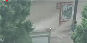 河北武安民眾抱樹求生。（圖／翻攝自網易視頻）