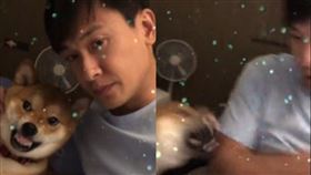  王建復直播中柴犬突衝來「亮牙猛咬一口」　/IG