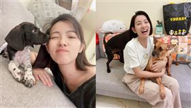 米可白在防疫期間，除了有關毛小孩的事情之外，幾乎不出門。(圖／翻攝自米可白臉書）