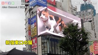 網紅曝新宿現況　網喊「好想念日本」