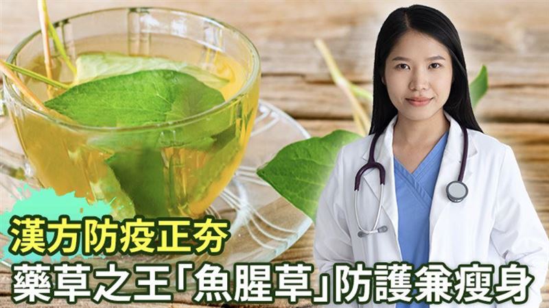 漢方防疫正夯！「魚腥草」助防護升級