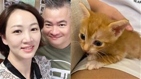 郁方撿到3隻小貓回家養。臉書