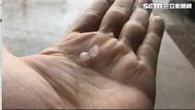 屏東,冰雹,潘孟安,下雨