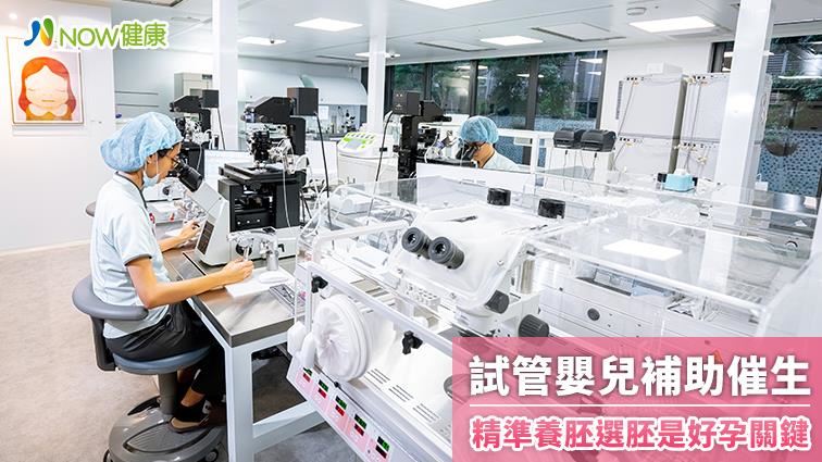 試管嬰兒補助催生　精準養胚是關鍵